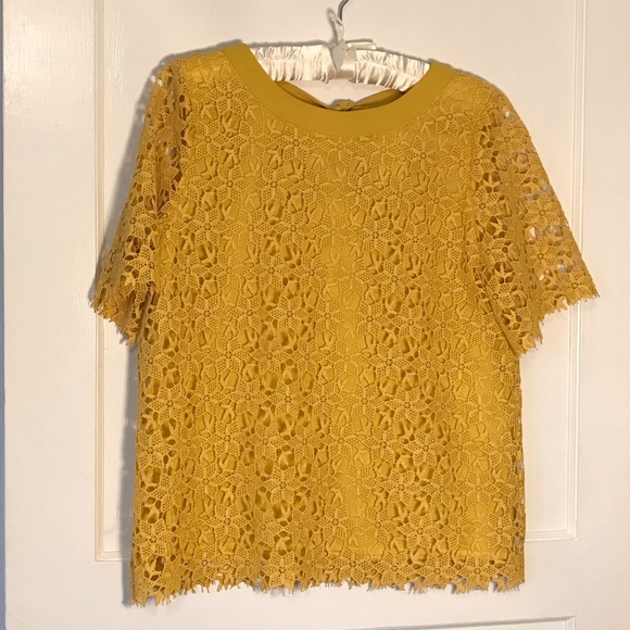 Max & Co. Tops - Italian Max & Co. Mustard Lace Blouse New, Never Worn Sign 10 lined, reversible